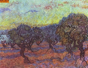 Olivenhain nach van Gogh